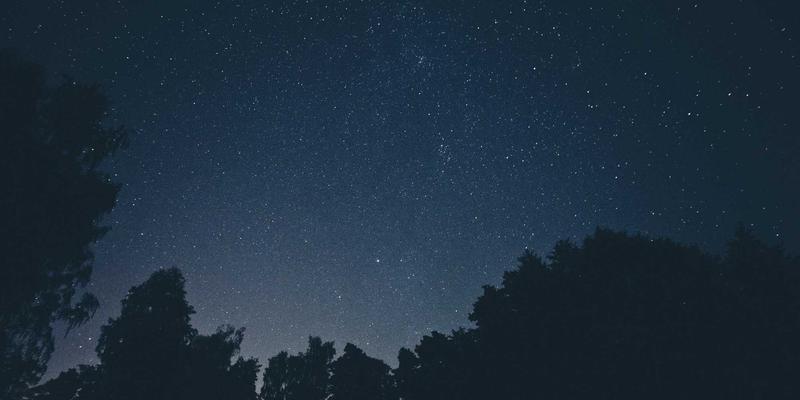 家族办公室的资产配置哲学：以债券与保险为基石，构建超长期财富护城河