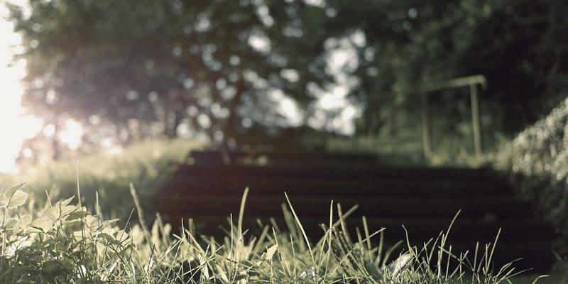 智能投顾如何重塑金融投资：揭秘算法驱动的股票与资产配置新范式