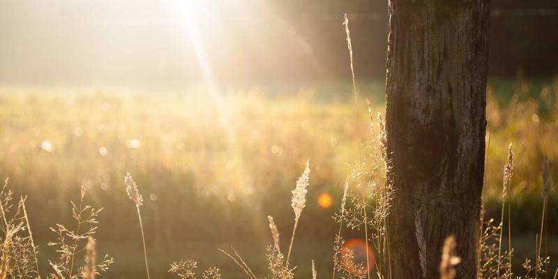 资产配置新维度：如何运用期权交易优化基金与理财服务组合